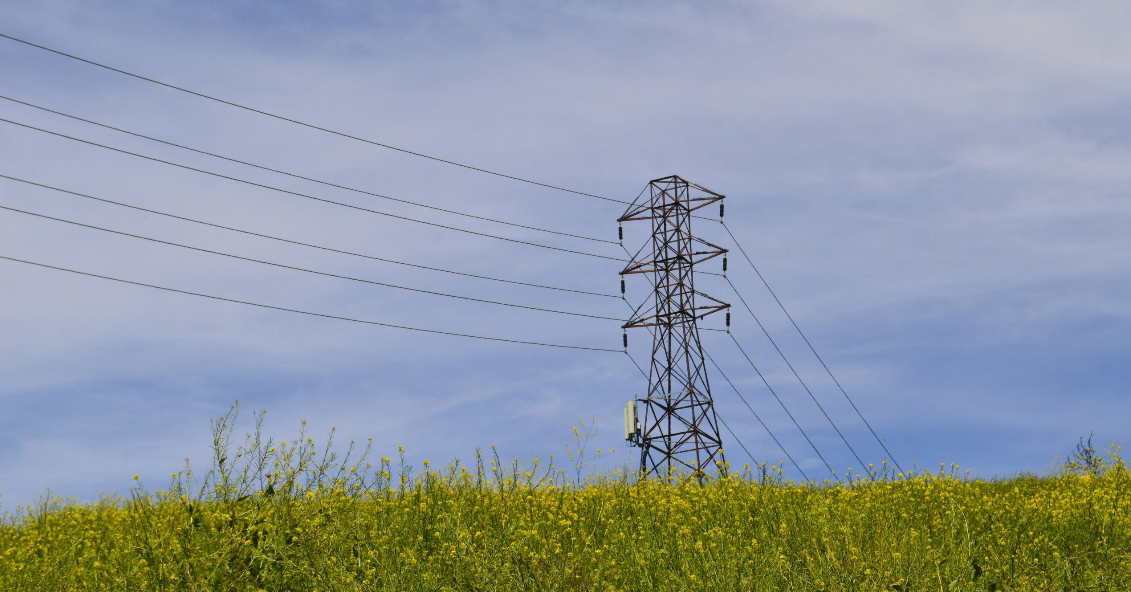 1751884800964224.png image.png